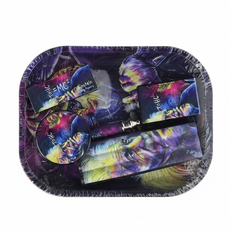 Einstein T=HC² Small Tray Gift Set SS-2176 complete retail set