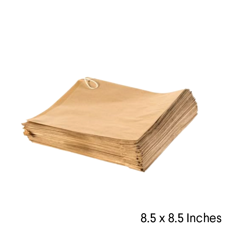 Kraft brown strung paper bags 8.5 by 8.5 inches pack of 1000